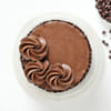 Shop Loaded Choco Chip Chocolate Cake