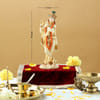 Gift Lord Krishna Murti