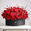 Shop Love Beyond Measure - 120 Red Rose Flowers Grand Bouquet