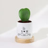 Love Bloom - Hoya Heart Plant With Pot - Personalized Online