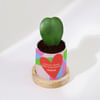 Shop Love Is All Around - Heart Hoya Plant With Personalized Planter
