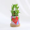 Love Is All Around - Two-Layered Bamboo Plant With Personalized Planter Online