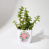 Buy Love You - Jade Plant With Planter