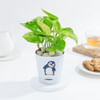 Gift Lovely Money Plant In Self-Watering Penguin Planter