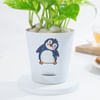 Shop Lovely Money Plant In Self-Watering Penguin Planter