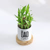 Gift Lucky Bamboo Plant for Dad