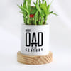 Buy Lucky Bamboo Plant for Dad