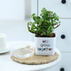 Shop Lucky Jade Plant In Self-Watering Planter