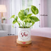 Gift Lucky Money Plant Desk Planter