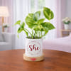 Lucky Money Plant Desk Planter