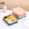 Shop Lunch Box - Triangle Compartments - Assorted - Single Piece