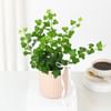 Buy Lush Ivy In Striped Coffee Planter