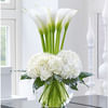LUXURY CALLA LILY AND HYDRANGEA BOUQUET Online
