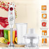 Gift Maharaja Multi-Purpose Hand Blender