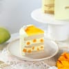 Shop Mango Bliss Bento Cake (300g)