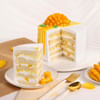 Shop Mango Lovers Delight (Half Kg)