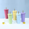 Matte Finish Sipper Bottle - Assorted - Single Piece Online