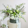 Meadow in a Box Online