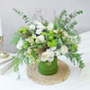 Buy Meadow in a Box