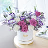 Meadow of Dreams Online