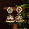 Gift Meenakari Grace Gold Plated Jhumkas - Green