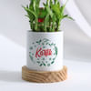 Shop Merry Christmas - Bamboo Plant With Personalized Pot