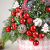 Shop Merry Magic