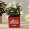 Merry Xmas Personalized Red Ceramic Planter Online