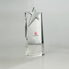 Metal Star Crystal Trophy Online
