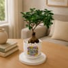 Buy Microcarpa Bonsai Plant with Plate