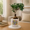 Microcarpa Bonsai Plant with Plate