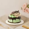 Mint Cream and Chocolate Drip Cake