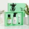 Gift Minty Fresh Body Care And Jade Plant Combo For Men