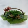 Mixed Miniatures Online