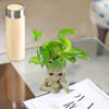 Buy Money Plant in a Baby Groot Planter