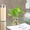 Money Plant in a Baby Groot Planter Online