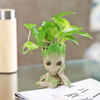 Shop Money Plant in a Baby Groot Planter