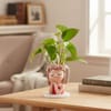 Shop Money Plant with Blush Girl Planter