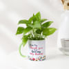 Money Plant With Personalized Mug Planter Online
