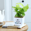 Gift Money Plant With Self-Watering Planter