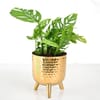 Gift Monstera in Gold Hammered Finish Metal Pot