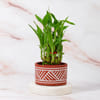Buy Mother of Pearl Om Rakhi with Lucky Bamboo Plant
