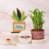 Mother of Pearl Om Rakhi with Lucky Bamboo Plant