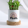 Gift Mother's Day 2-Layer Bamboo Plant With Pot