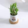 Shop Mother's Day 2-Layer Bamboo Plant With Pot