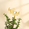Buy Mother's Day Best Mom Ever Jade Plant With Pot