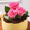 Shop Mother's Day Chocolate Rose Temptation