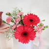 Buy Mother's Day Gorgeous Gerbera Arrangement