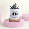 Gift Mother's Day Haworthia Succulent With Ceramic Planter