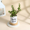 Shop Mother's Day Jade Plant With Pot